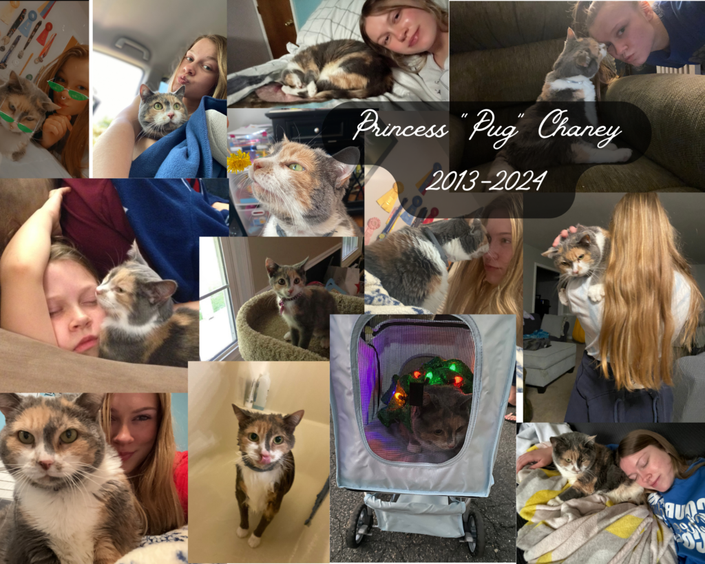 Collage of photos of a calico cat and her owner, Courtney, with the text "Princess 'Pug' Chaney 2013-2024"